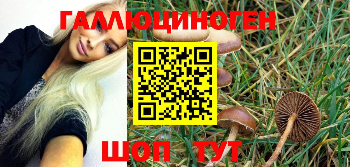 Галлюциногенные грибы Cubensis  Отрадное  Галлюциногенные грибы Cubensis 
