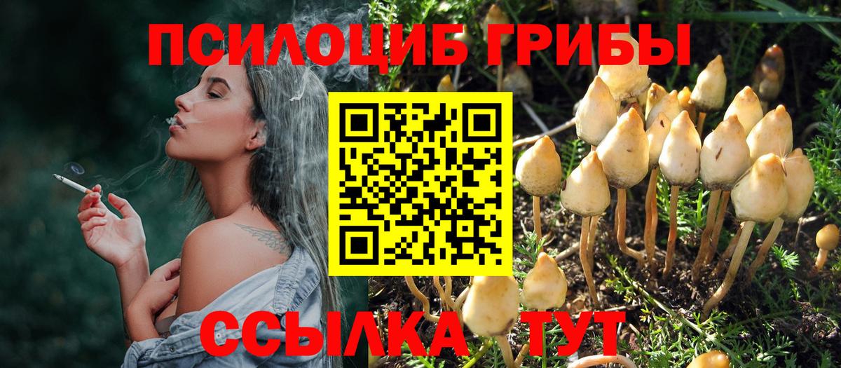 Псилоцибиновые грибы Magic Shrooms Отрадное