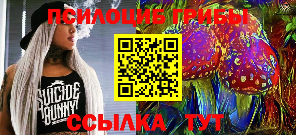 Галлюциногенные грибы мицелий  Галлюциногенные грибы GOLDEN TEACHER  Отрадное  Вход с VPN 