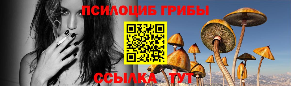 Псилоцибиновые грибы Magic Shrooms Отрадное